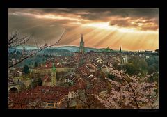 Bern