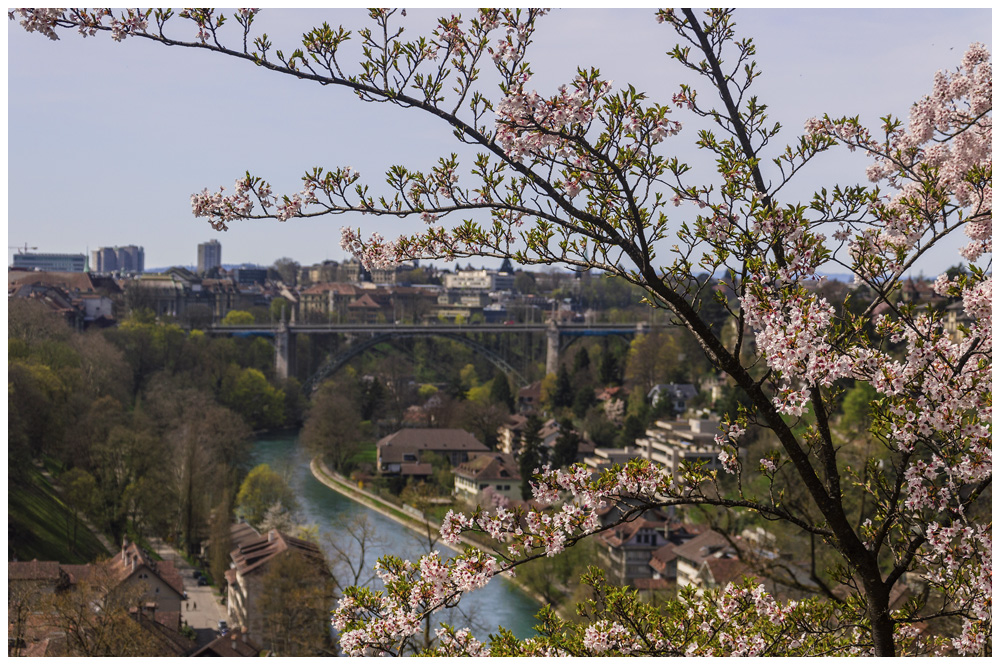 Bern im Frühling