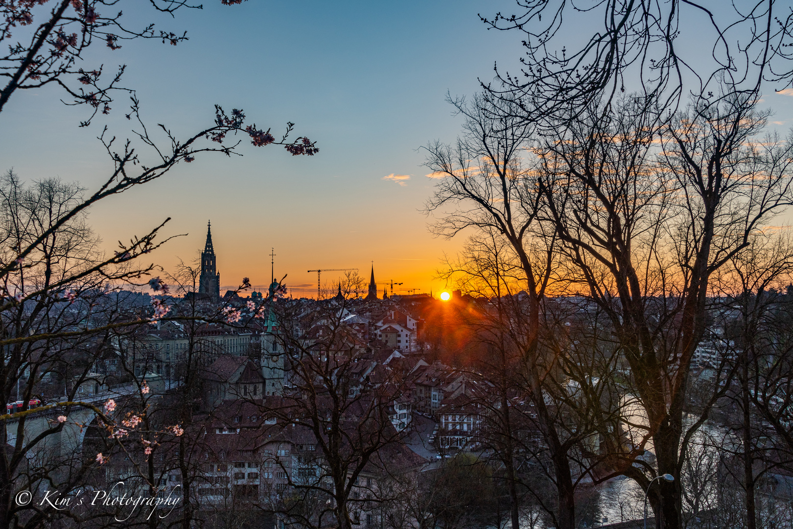 Bern in Kirschblüte