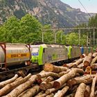 Bern-Lötschberg-Simplon-Bahn