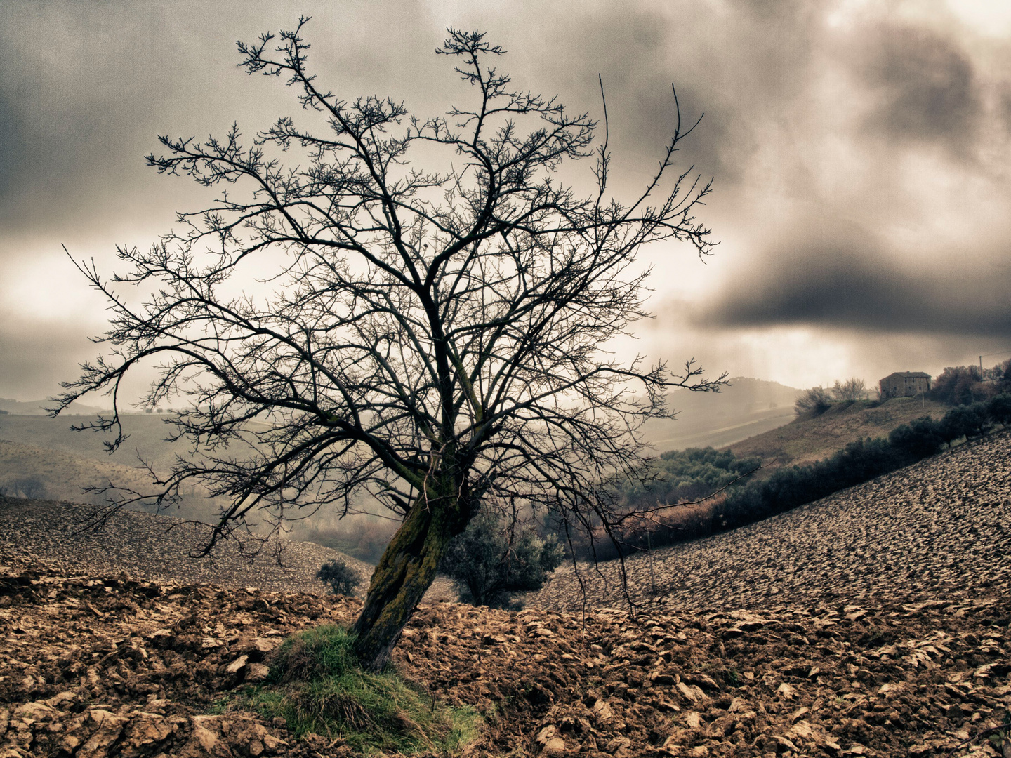 Bernardo's Field at Wintertime, Monsampolo del Tronto