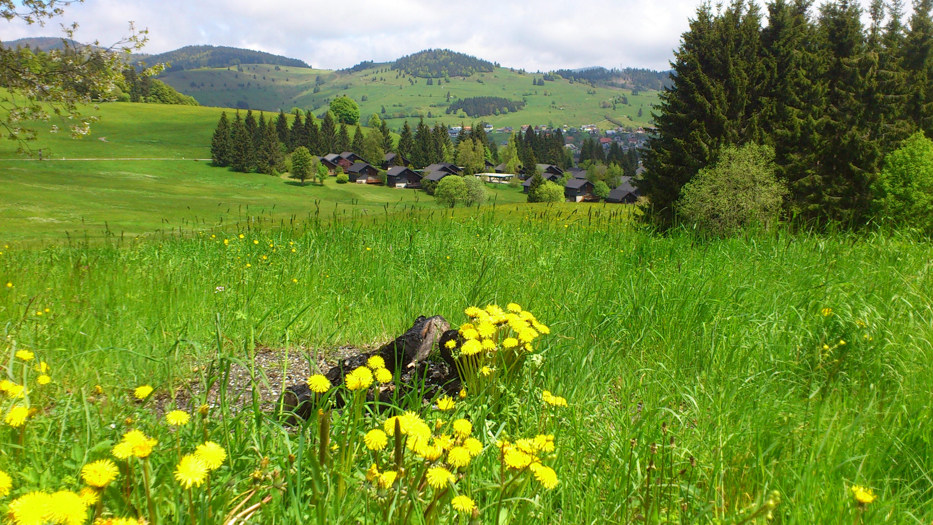Bernau im Schwarzwald Foto & Bild landschaft, berge, frühling Bilder