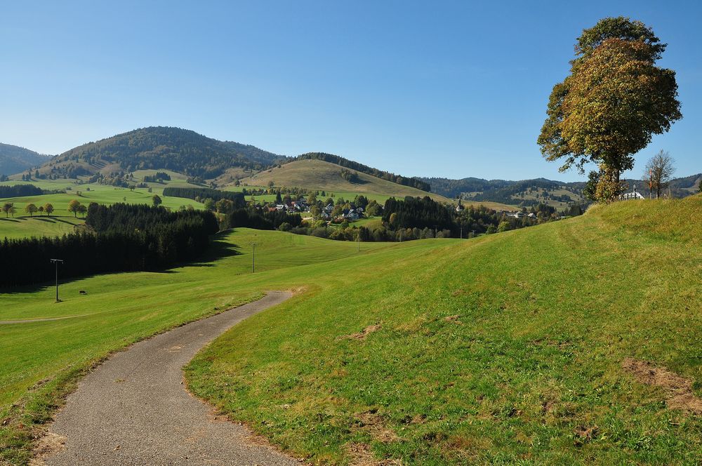 Bernau im Schwarzwald