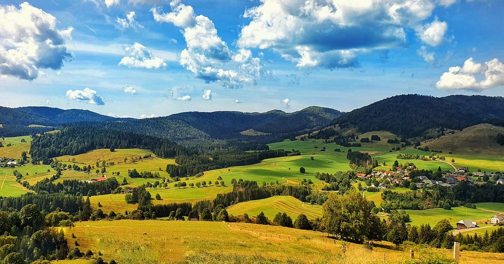 Bernau im Schwarzwald 