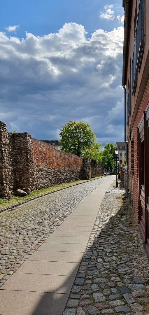 Bernauer Stadtmauer Mai 2021