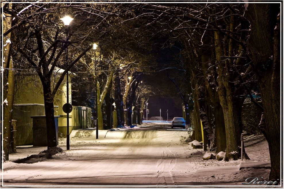 Bernburg bei Nacht (1)