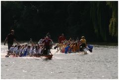 Bernburger Drachenbootregatta 2009__2