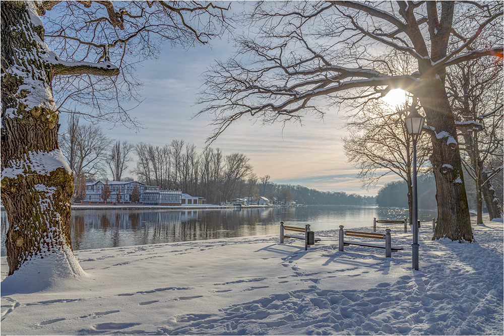 Bernburger-Winter an der Saale