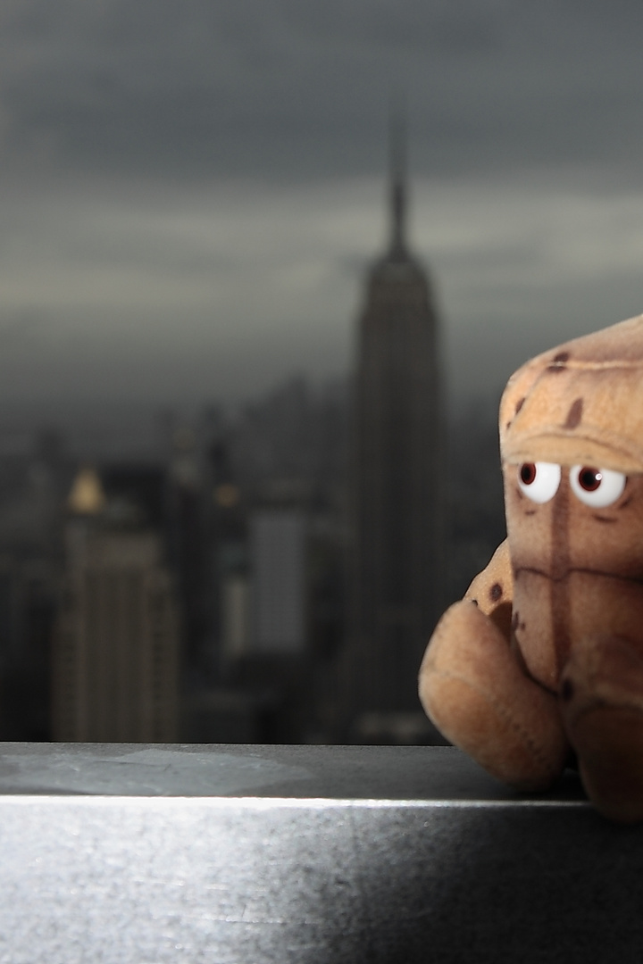 Bernd das Brot, alleine auf dem Rockefeller Center in New York :-)