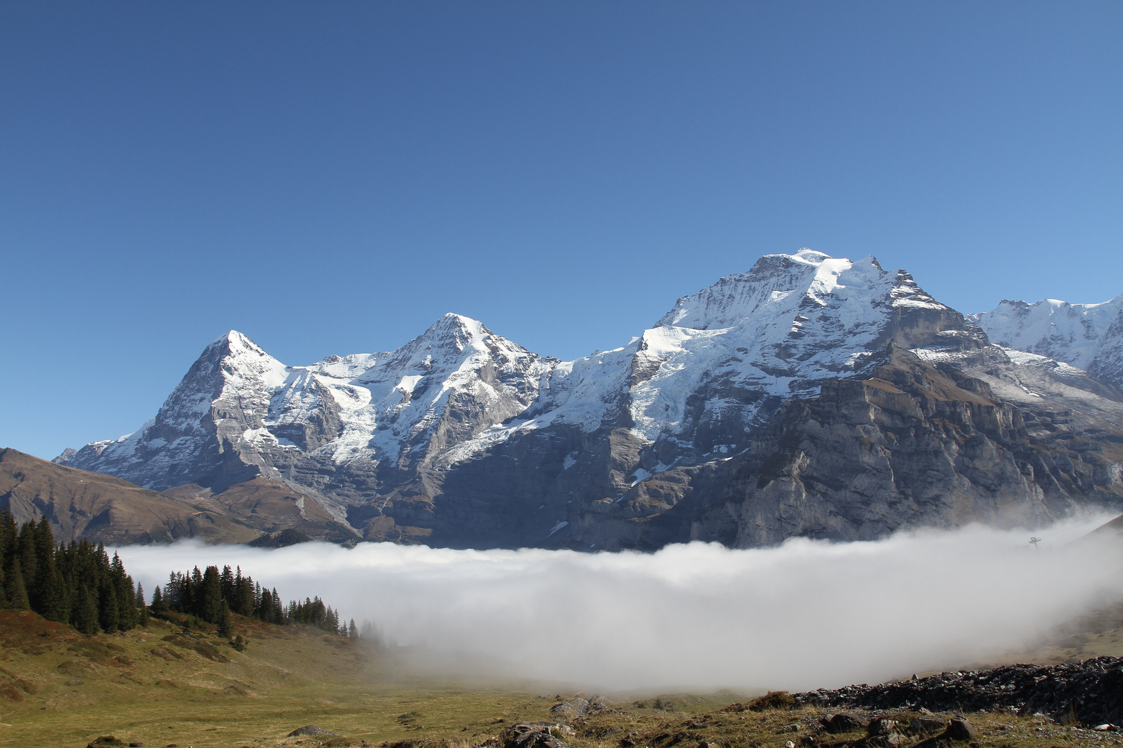 Berner Alpen 1