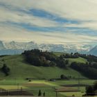 Berner Alpen