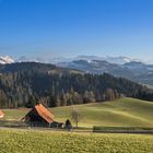 Berner Alpen im Abendlicht