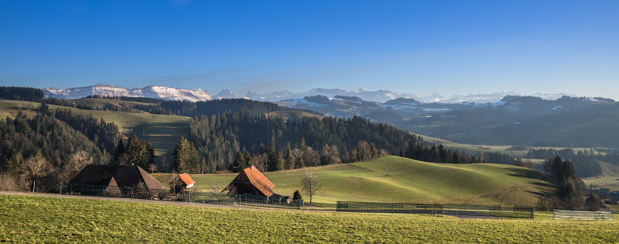 Berner Alpen im Abendlicht