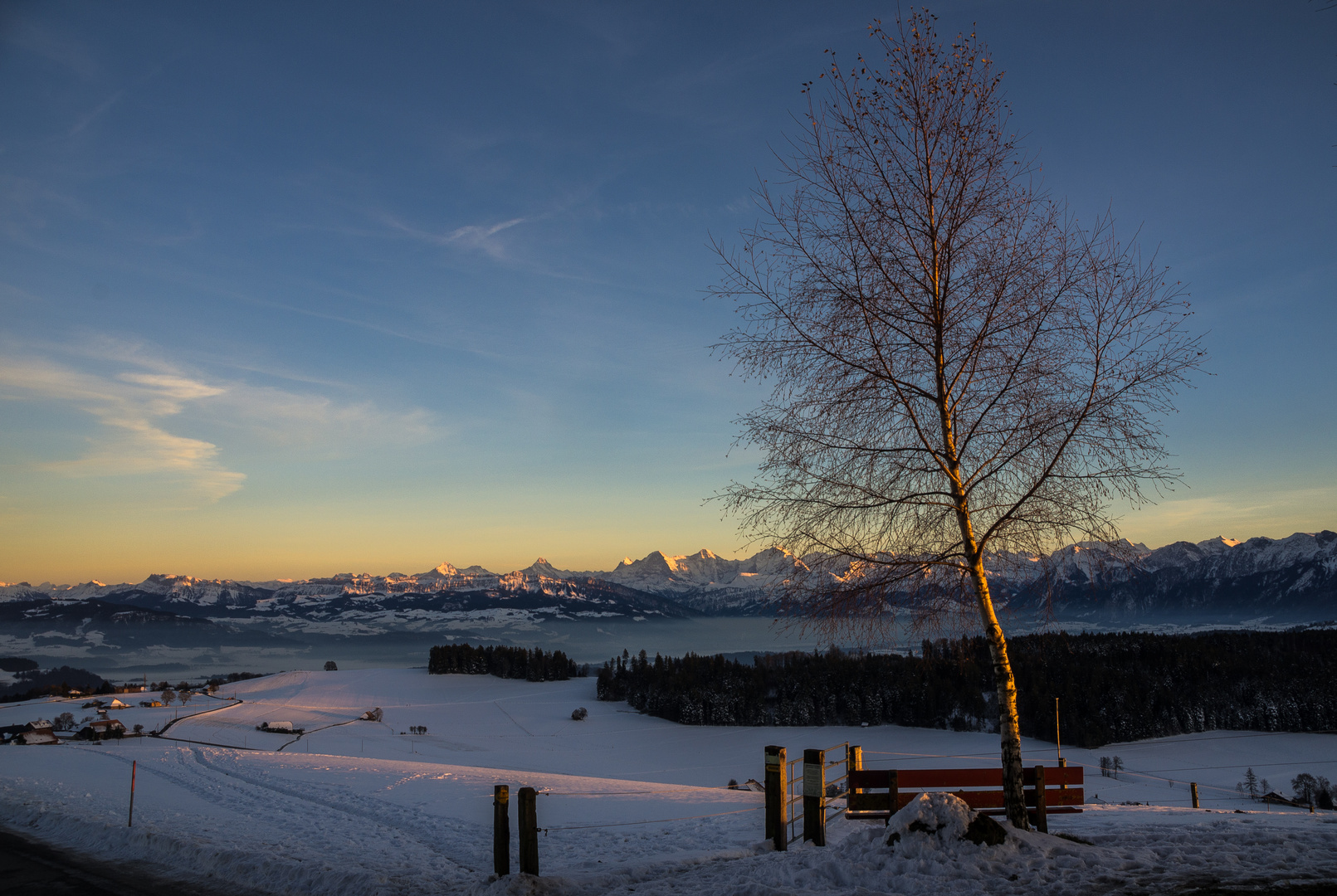 Berner Alpen im Abendlicht