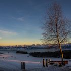 Berner Alpen im Abendlicht