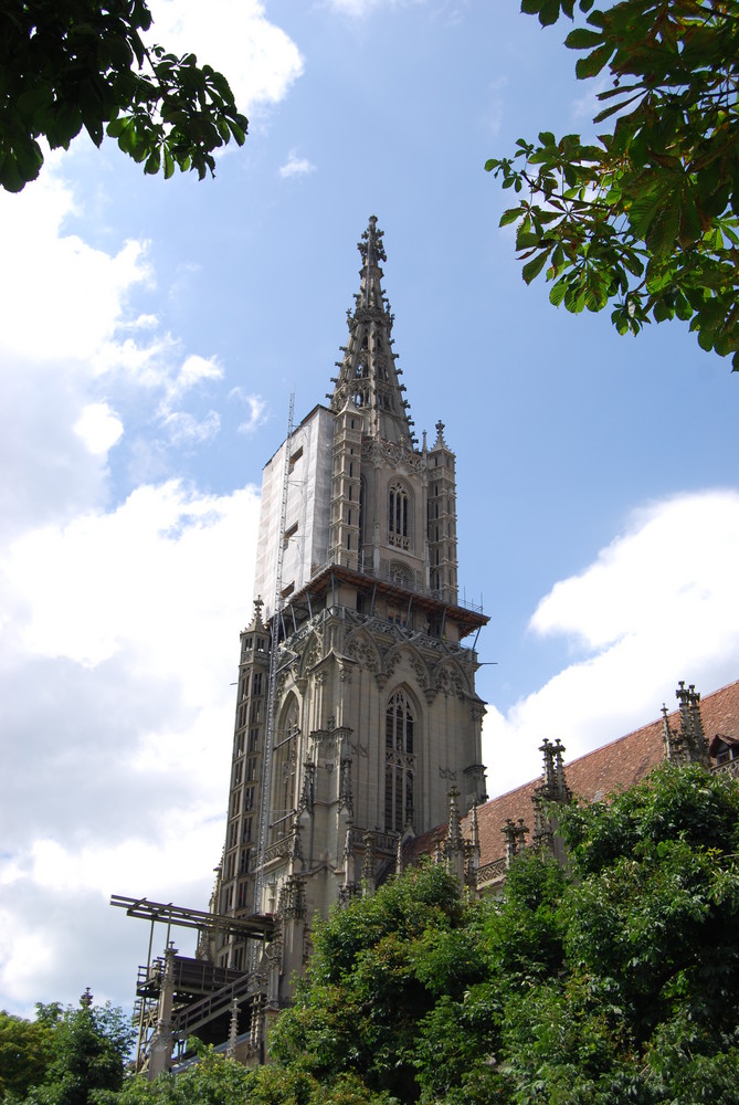 Berner Münster