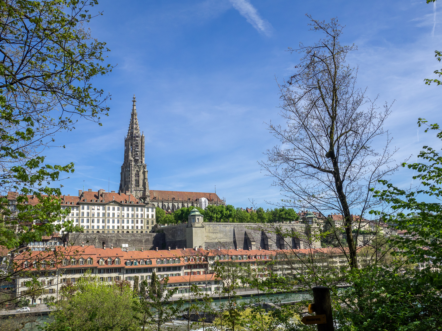 Berner Münster