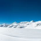 Berner-Oberländer-Berg-und-Schnee-Panorama