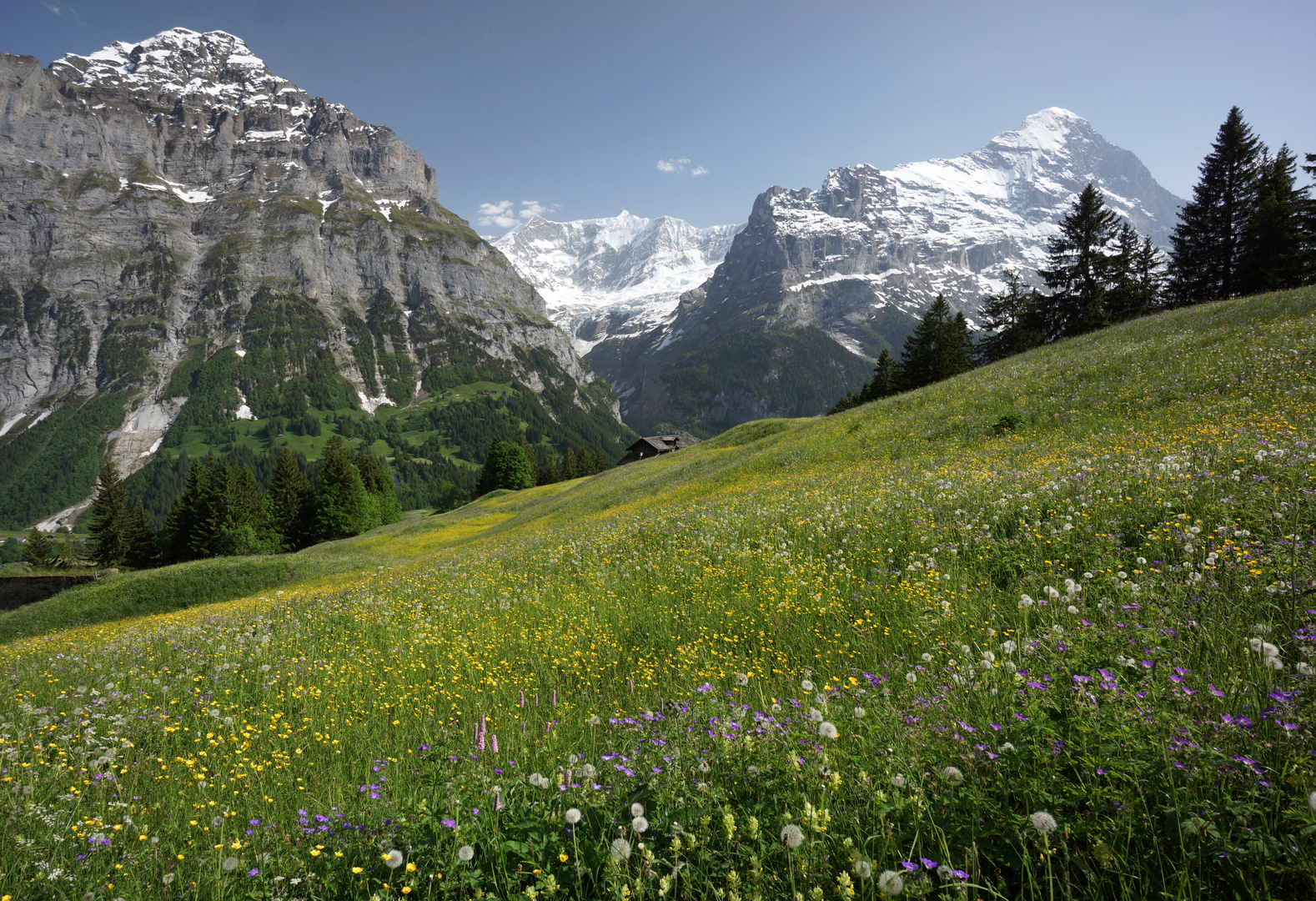 Berner Oberland