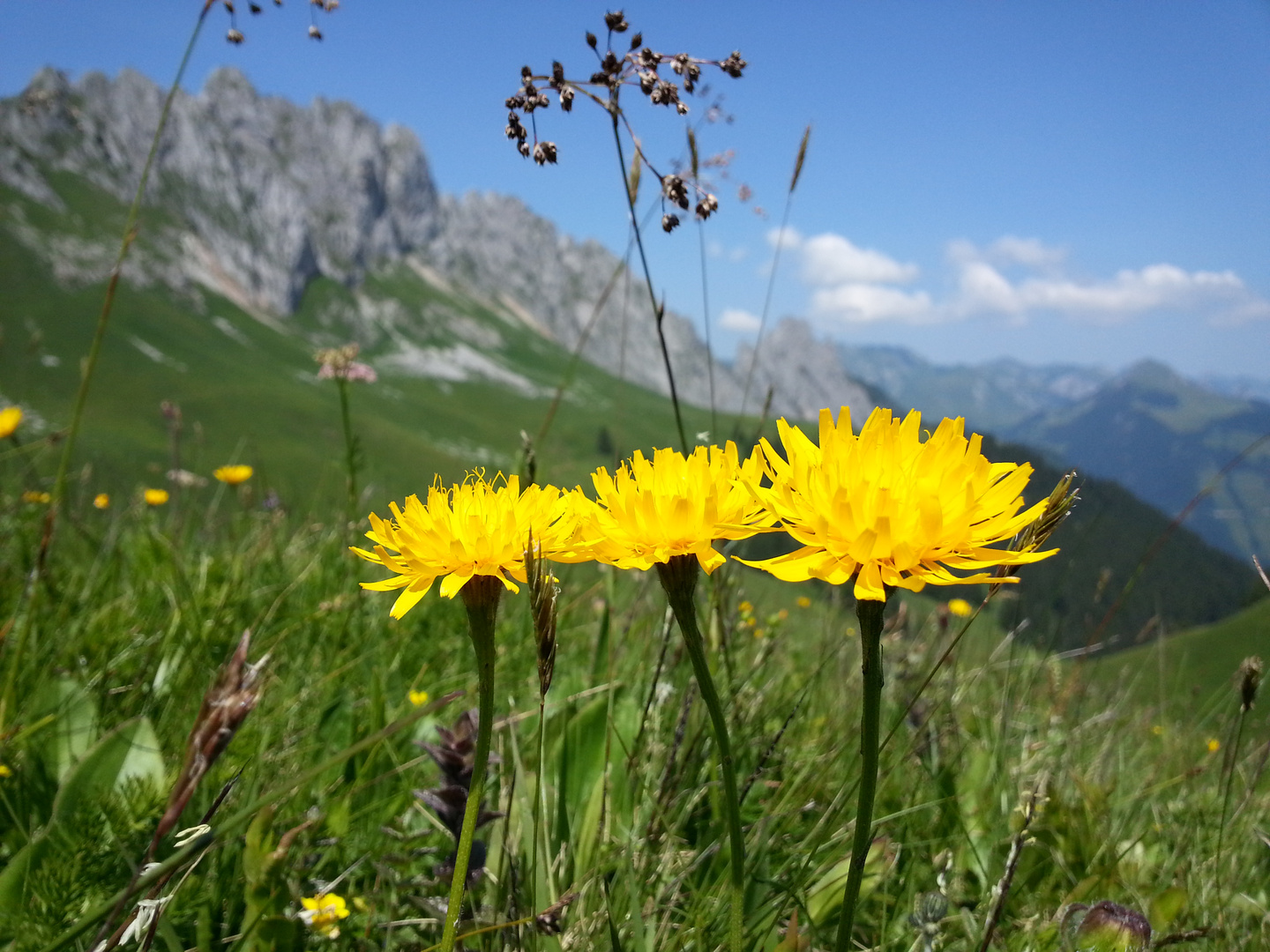 Berner Oberland