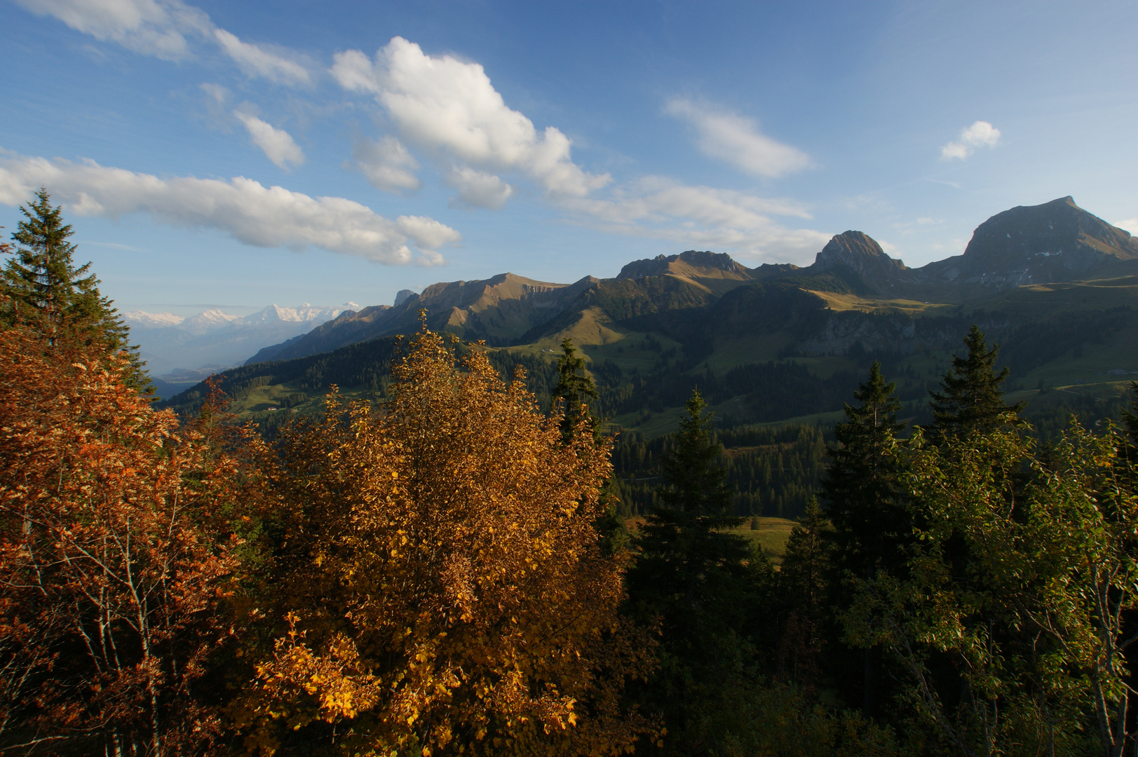 Berner Oberland