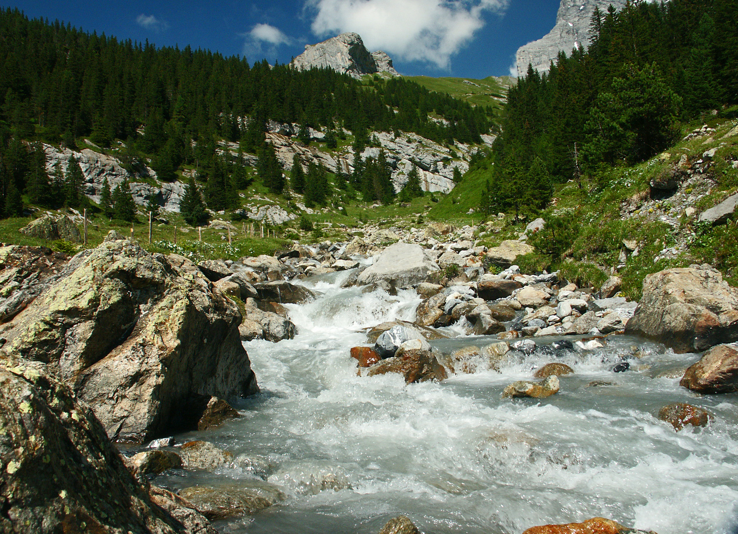 Berner Oberland