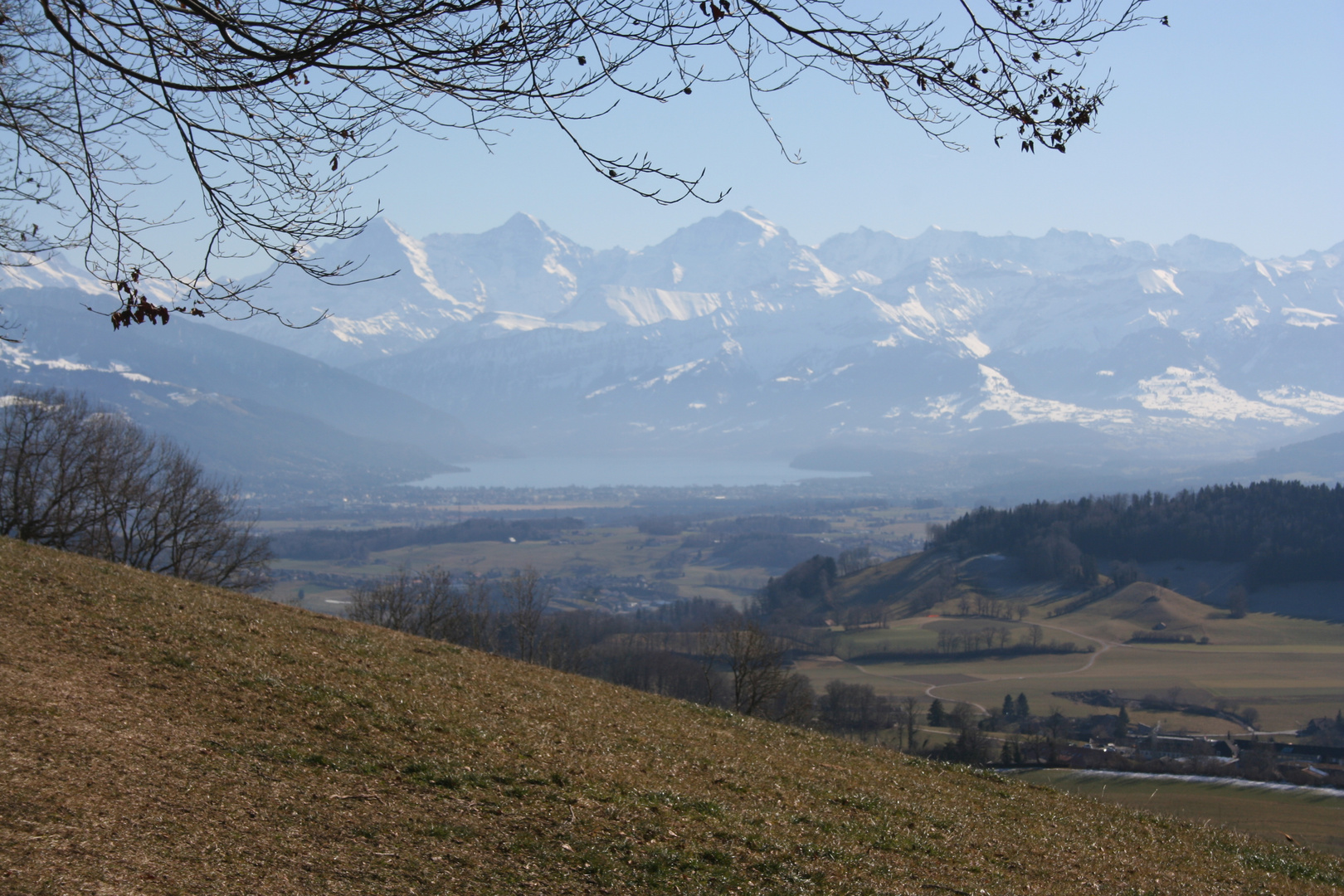 Berner Oberland