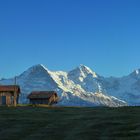 Berner Oberland