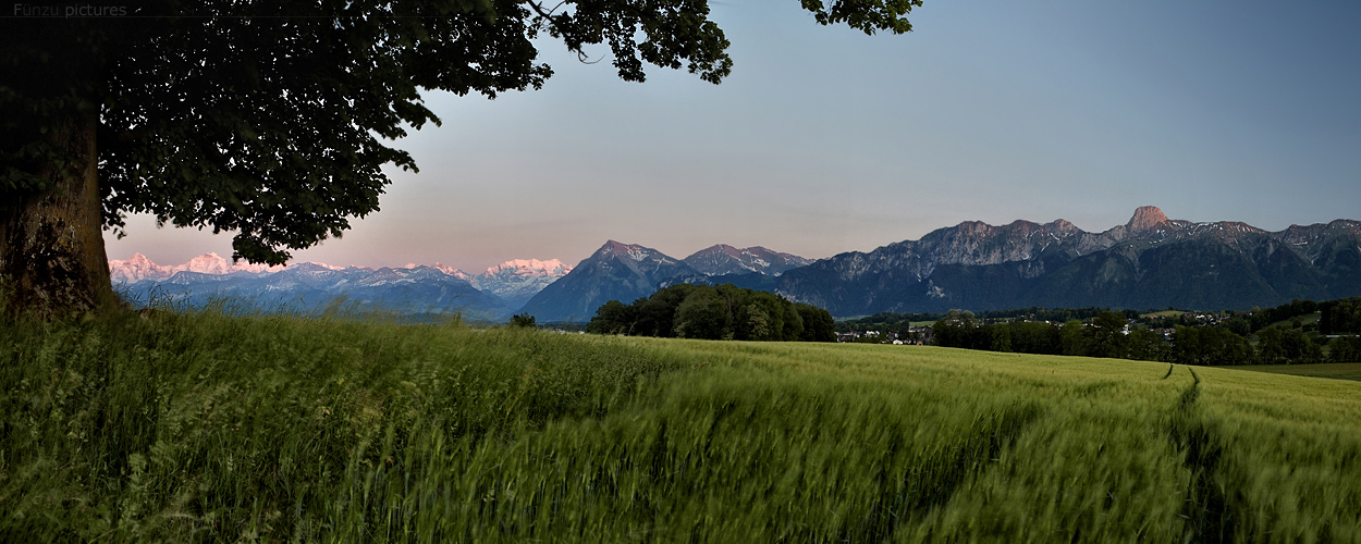 Berner Oberland