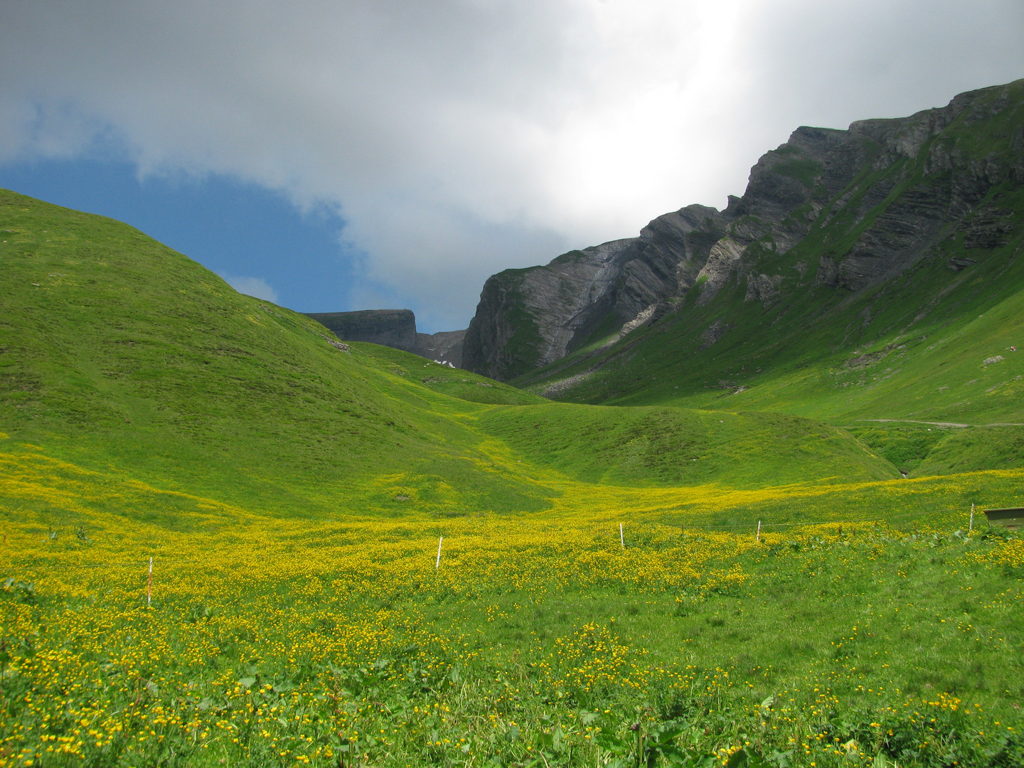 Berner Oberland