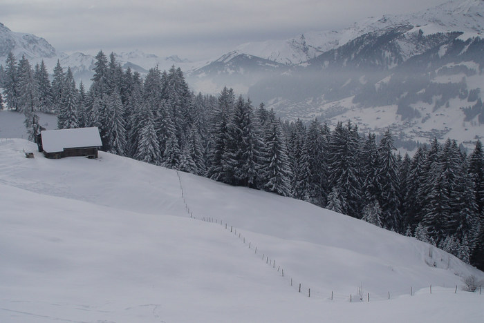 Berner Oberland