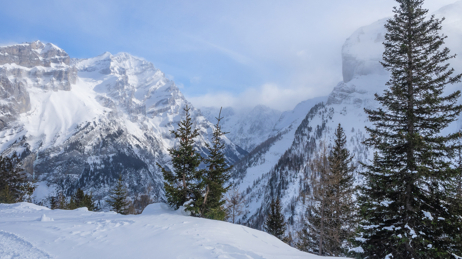 Berner Oberland