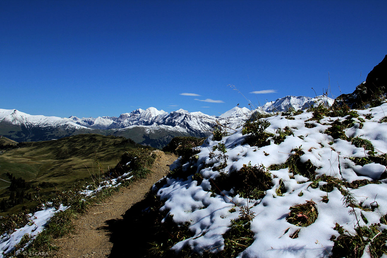 Berner Oberland - Betelbergalp