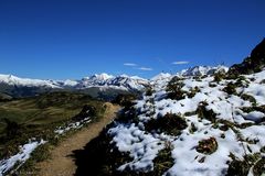 Berner Oberland - Betelbergalp