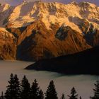 Berner Oberland. Blick auf Ebenefluh und Mittaghorn