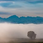 Berner Oberland