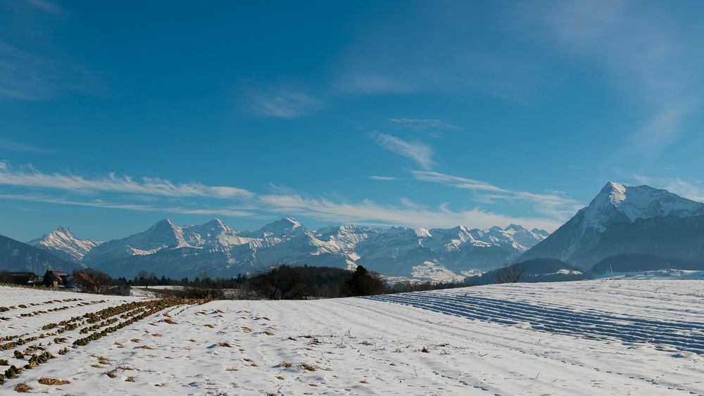 Berner Oberland