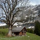 Berner Oberland