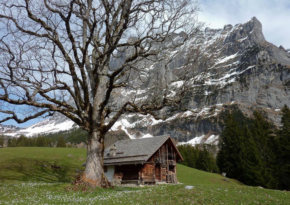 Berner Oberland