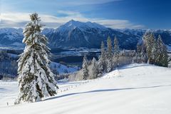 Berner Oberland im Schnee