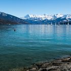 Berner Oberland mit Thunersee