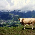 Berner Oberland Teil 5