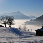 Berner Oberland - über dem Nebelmeer