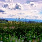 Berner Oberland View From Ulmizberg