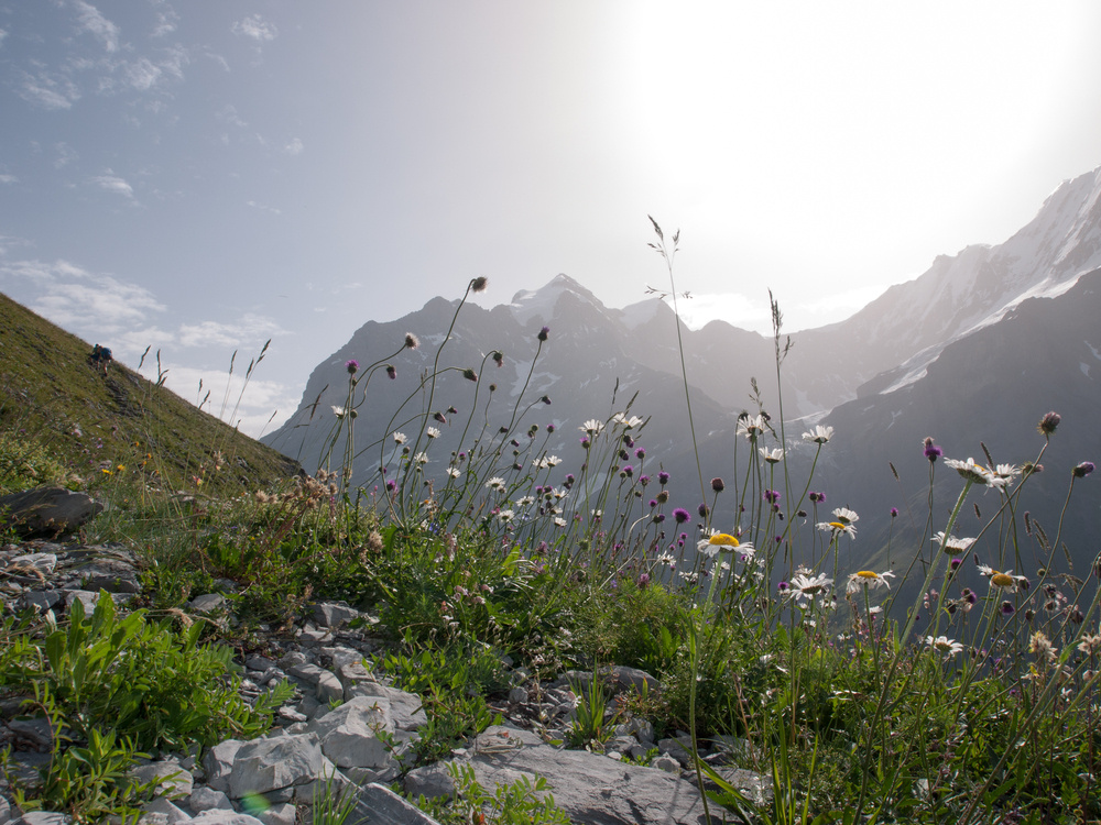 Berner Oberland/Obersteinberg-Rotstockhütte