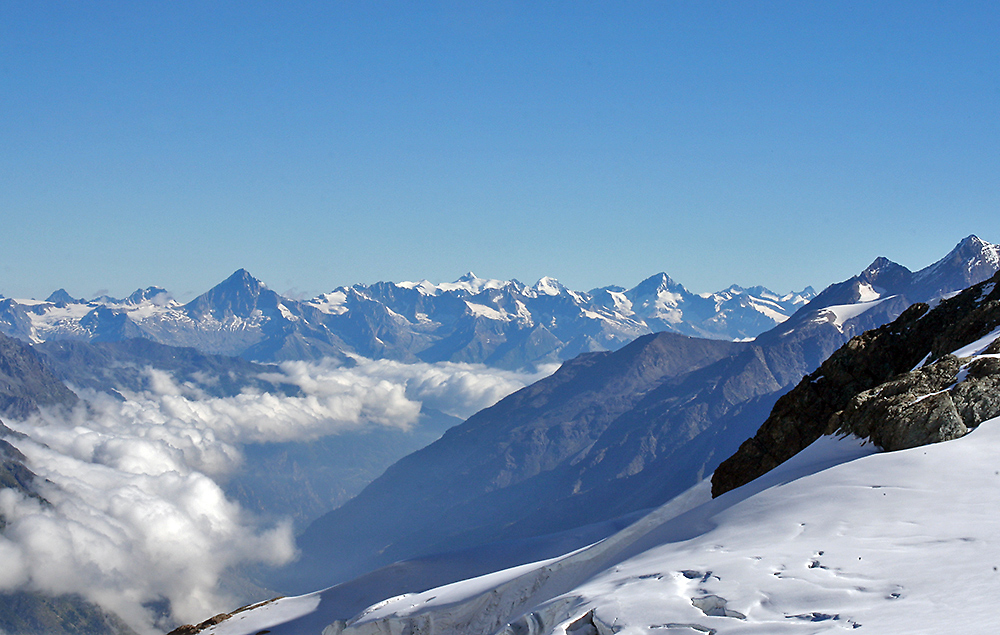 Berner Riesen in der Schweiz