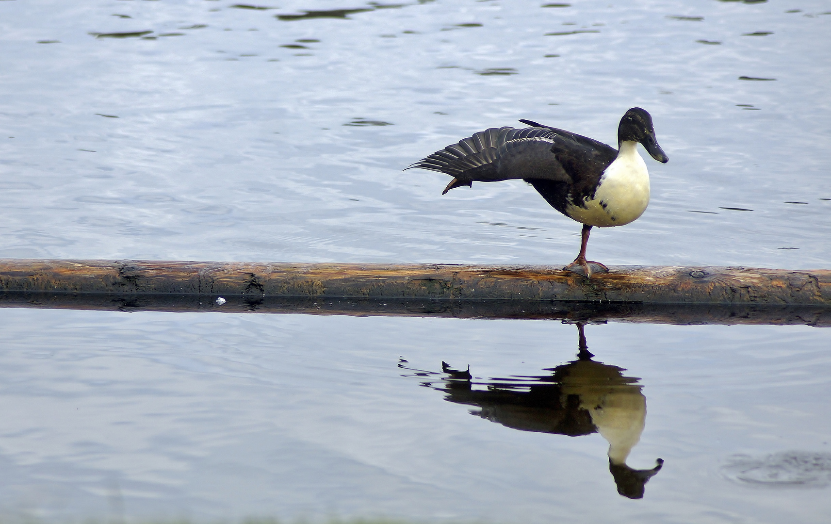 Berner See (109)