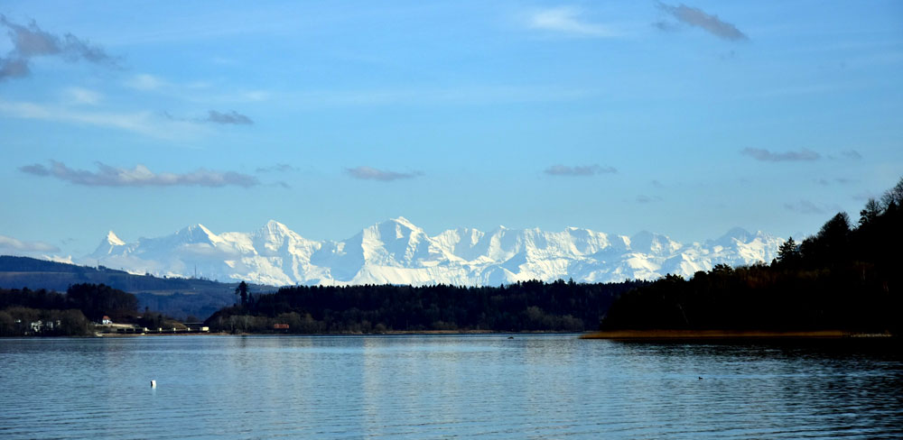 Berneralpen