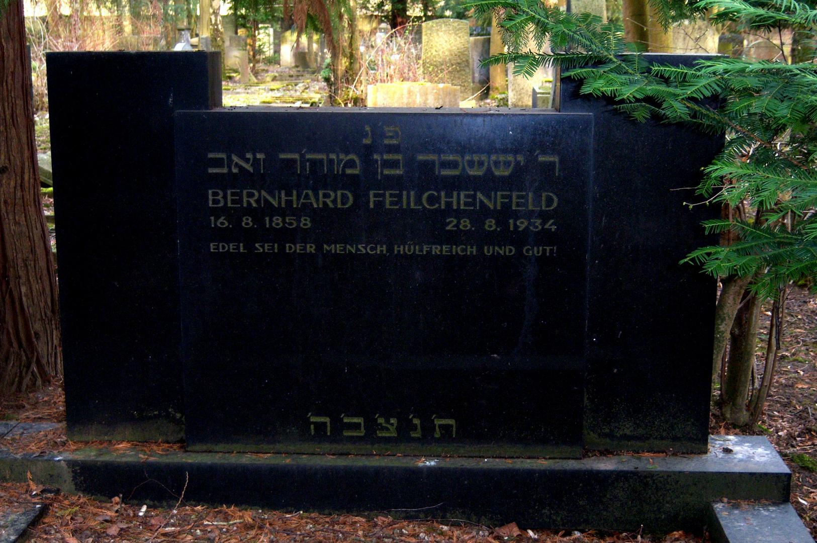  Bernhard Feilchenfeld