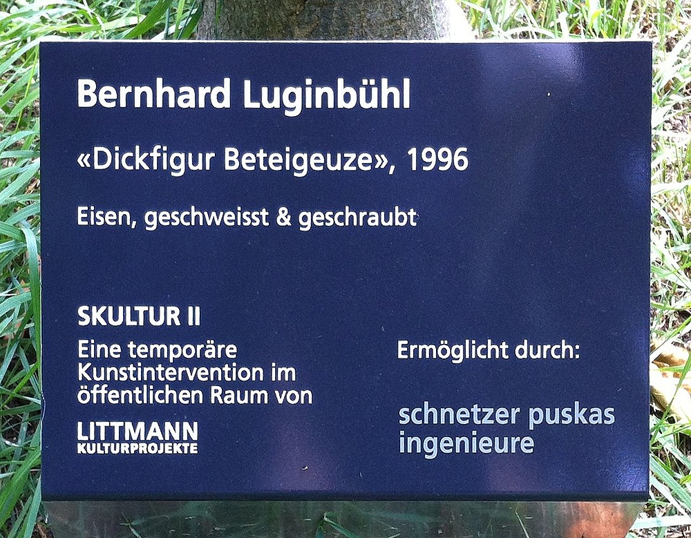 bernhard luginbühl beschriftung